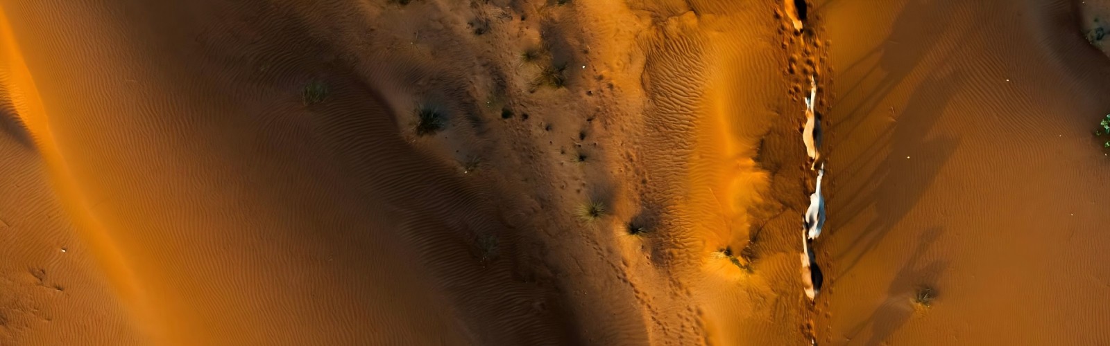 Sharjah Desert Park