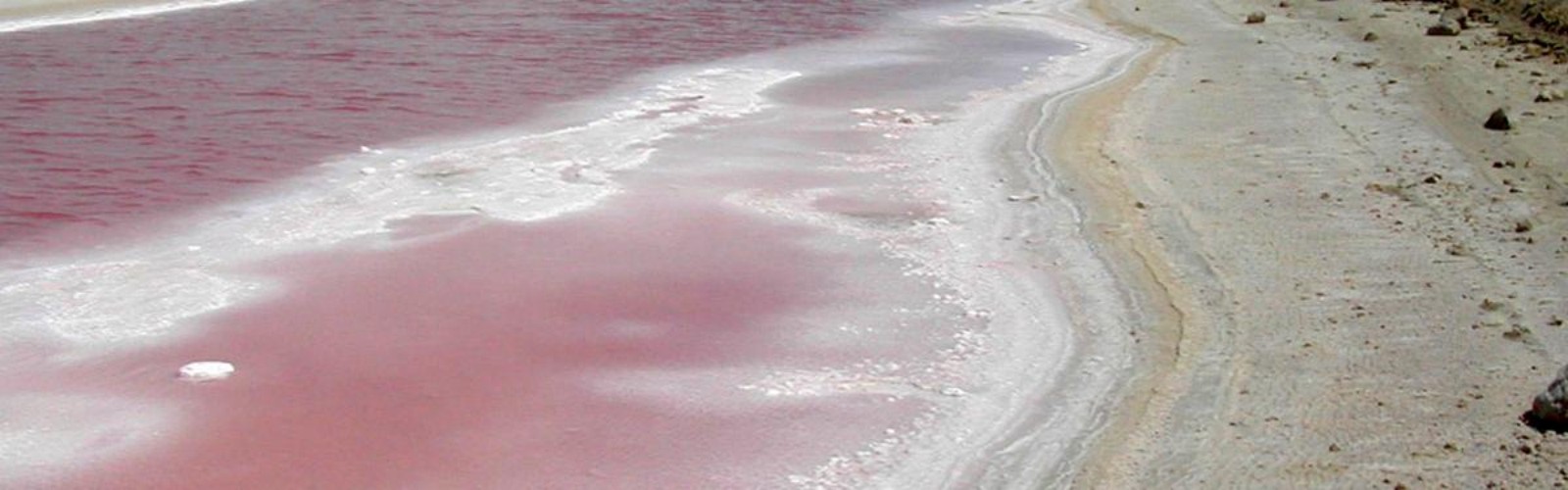 Douz Salt Lake