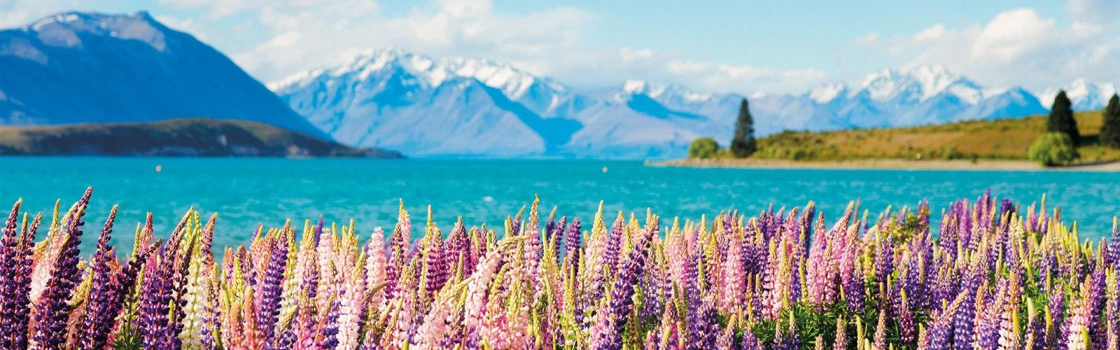 New Zealand Lake Tekapo