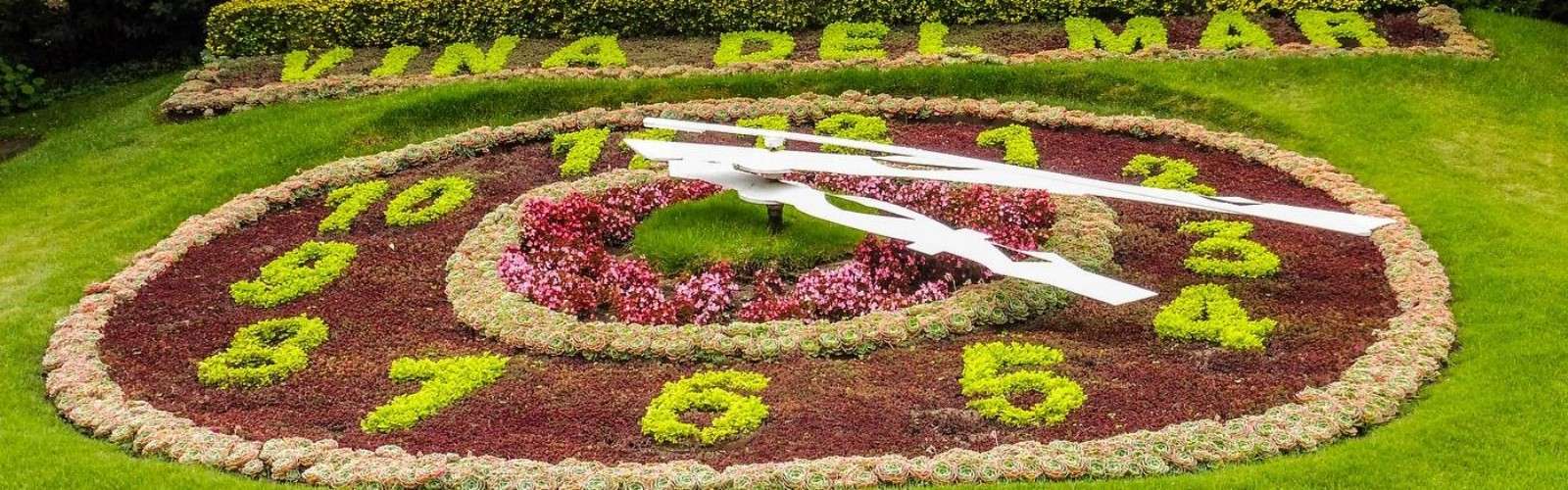 Flower Clock