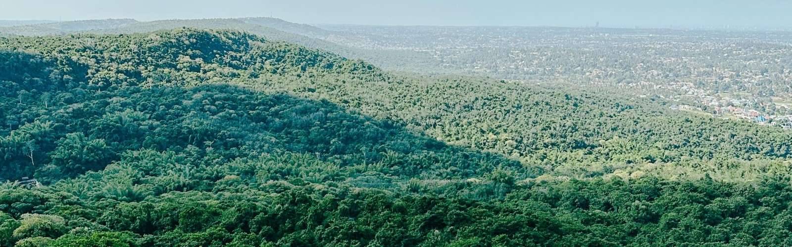 Pugu Hills Nature Reserve