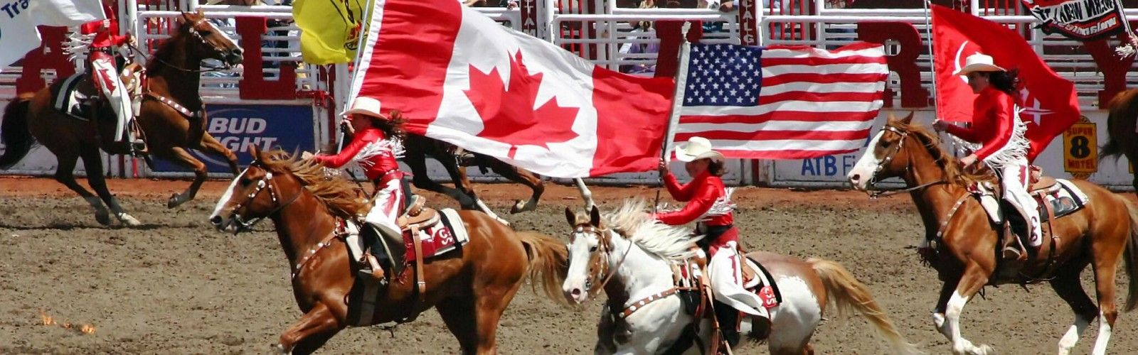 The Calgary Stampede