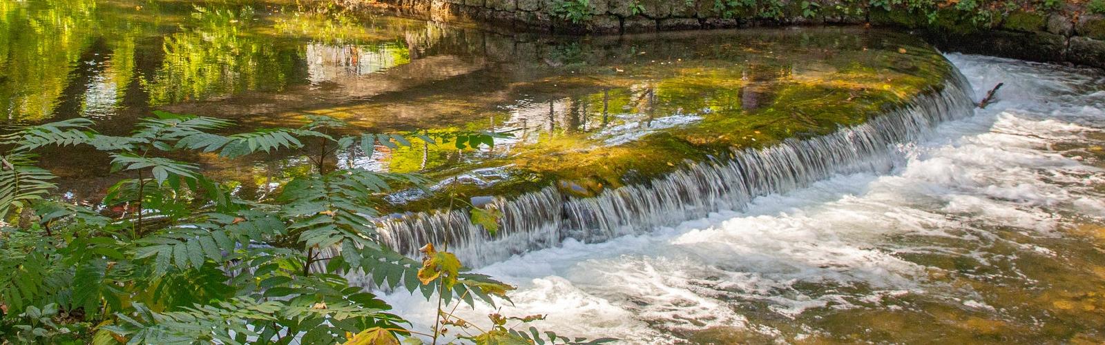 Englischer Garten