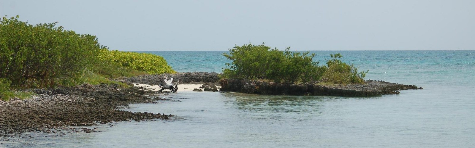 Peterson Cay National Park