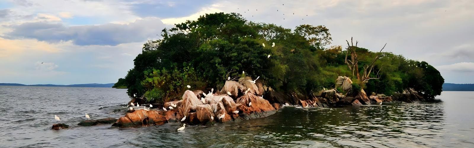 Rubondo Island National Park