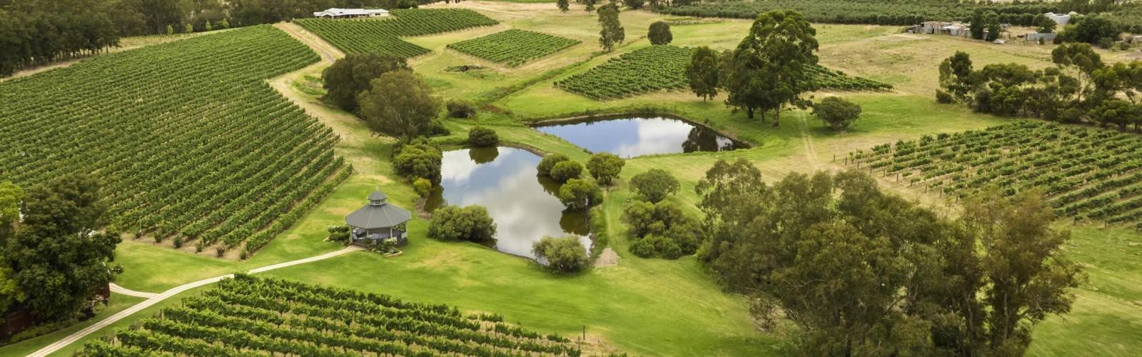 Swan Valley