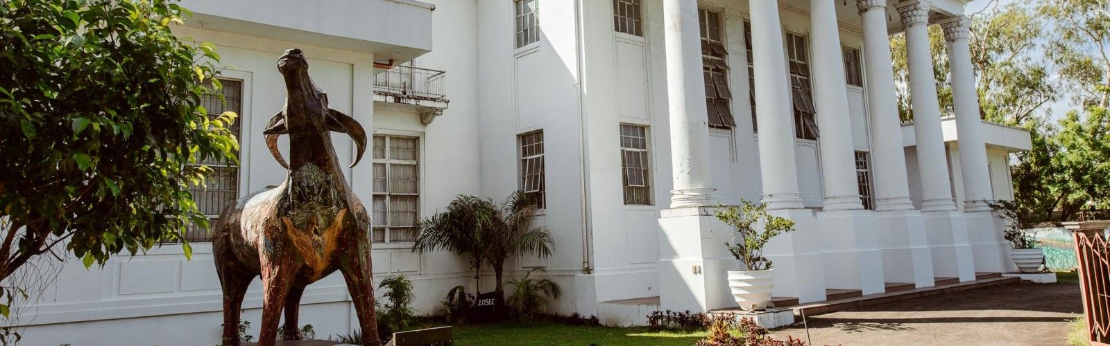 Negros Museum