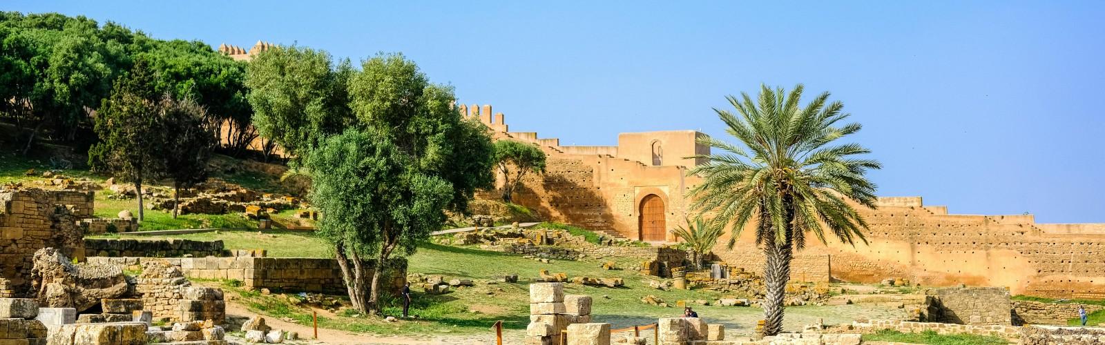 Chellah Ruins