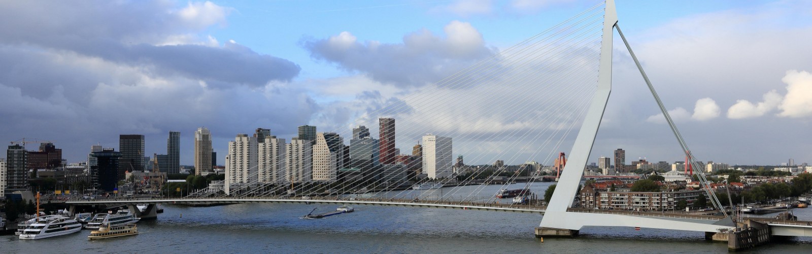 Erasmus Bridge