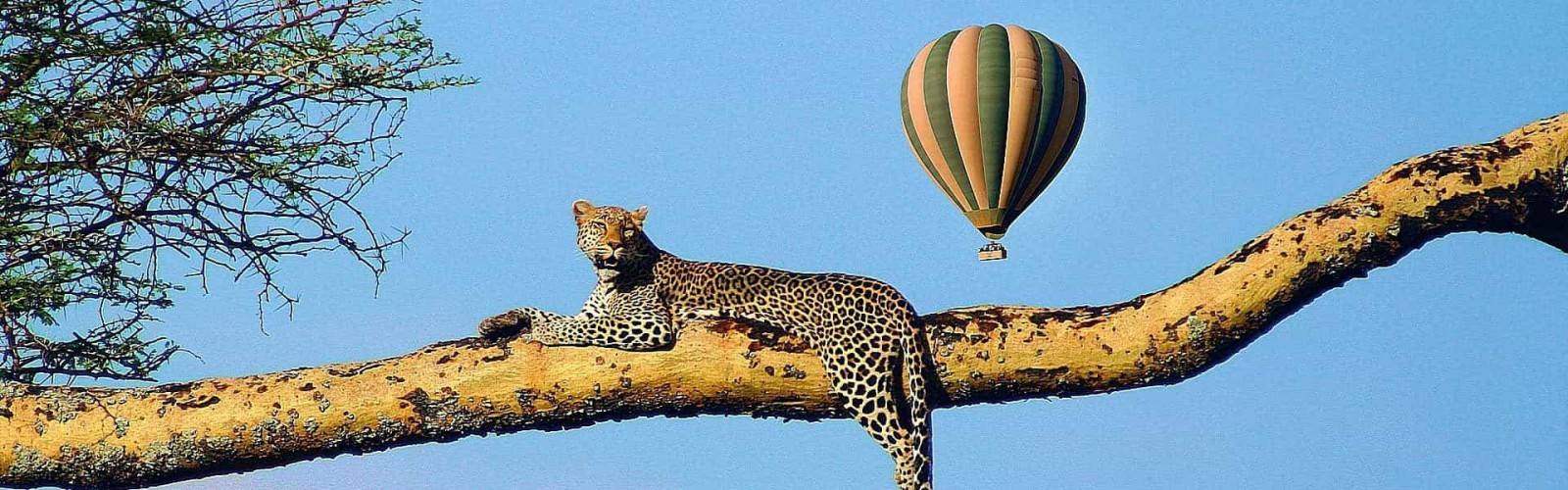 Hot Air Balloon Safari