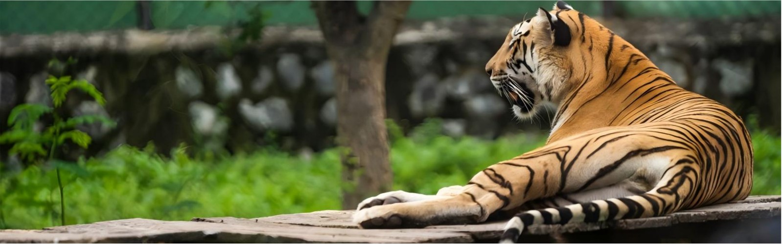 Arignar Anna Zoological Park