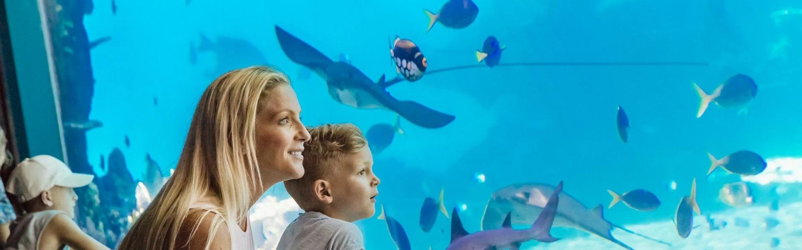 Sea World