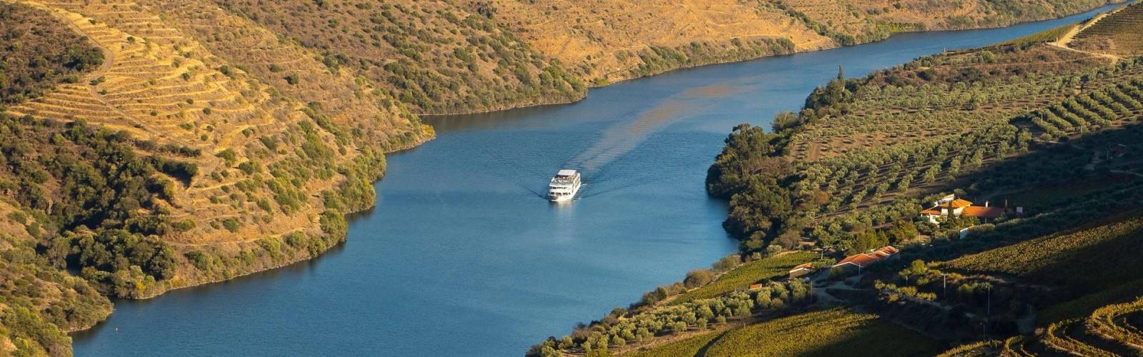 Douro River Cruise