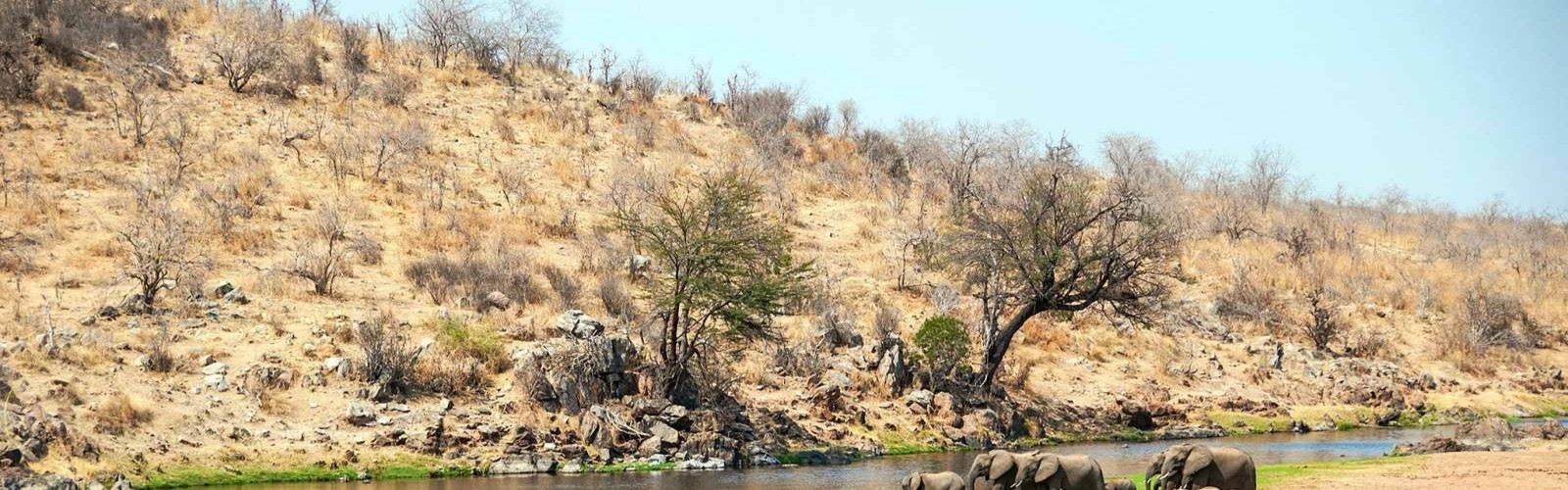 Ruaha National Park