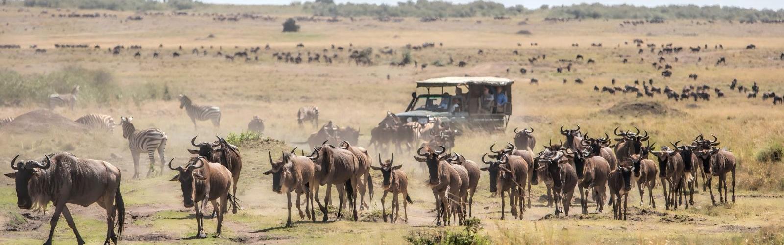 Masai Mara National Reserve