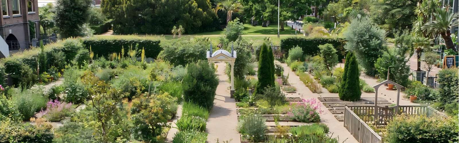 Hortus Botanicus