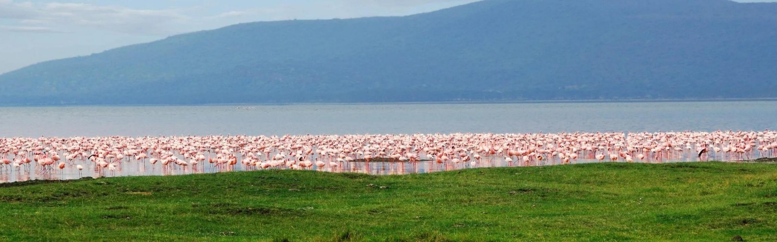 Lake Nakuru