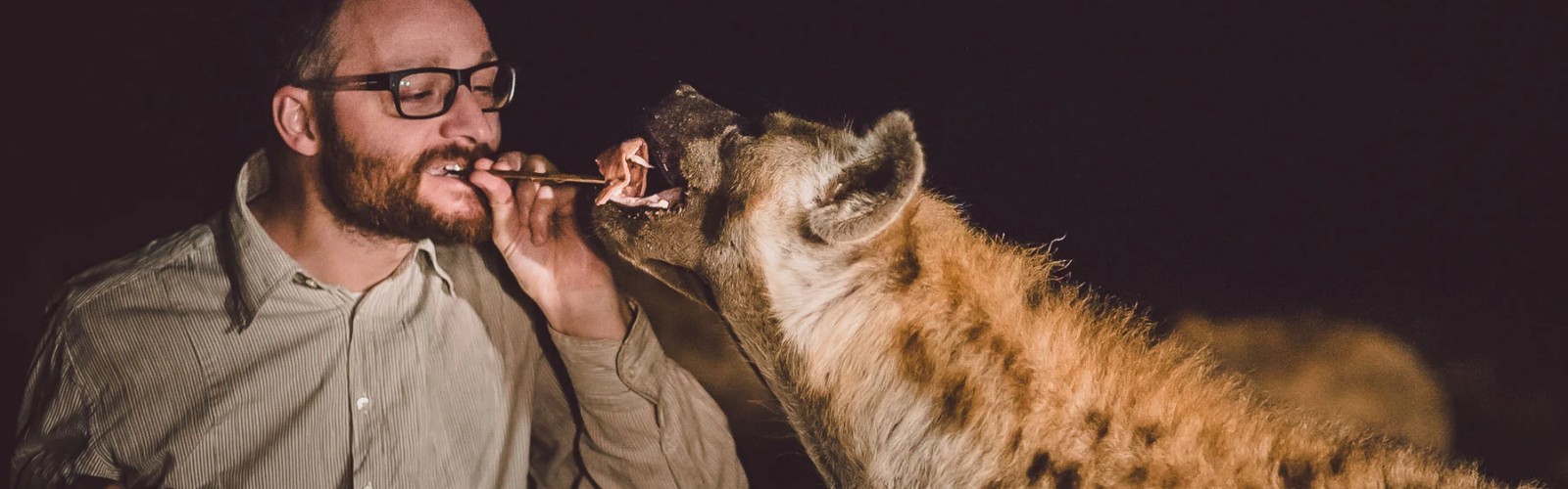 Hyena Feeding Site