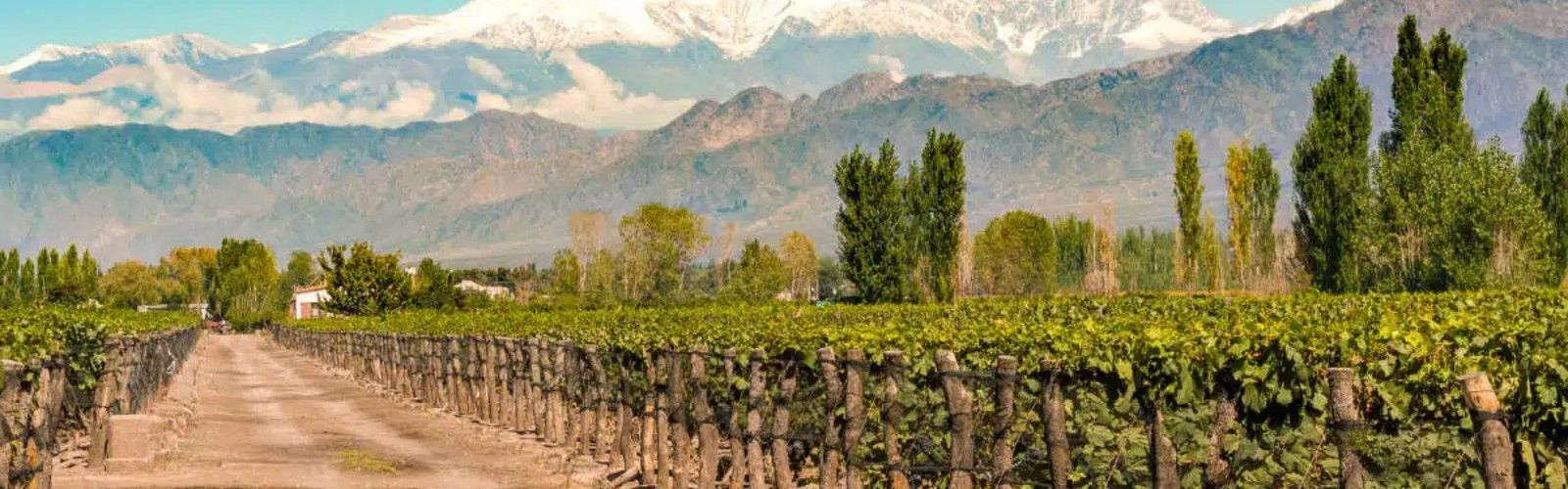 Mendoza Wine Region
