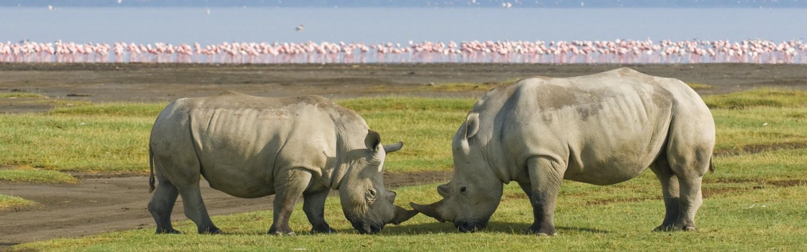 Lake Nakuru National Park