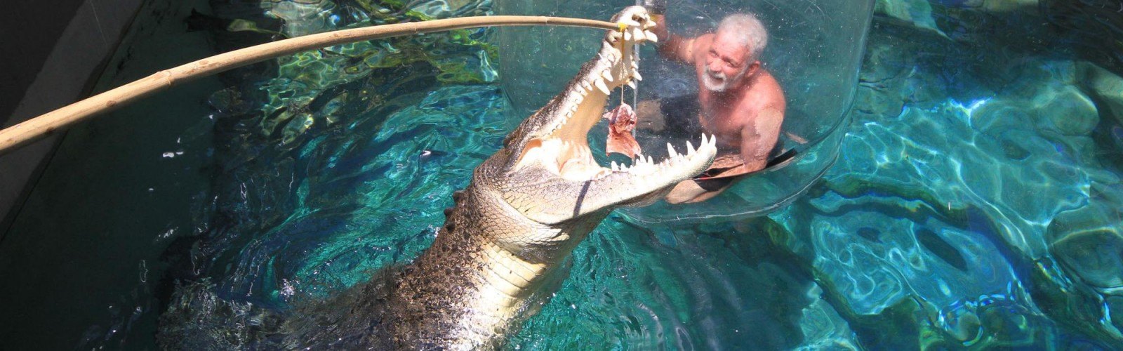 Crocosaurus Cove