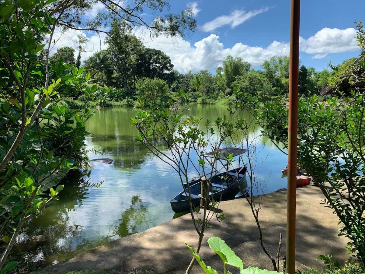 Morning: Get close to nature and be full of vitality