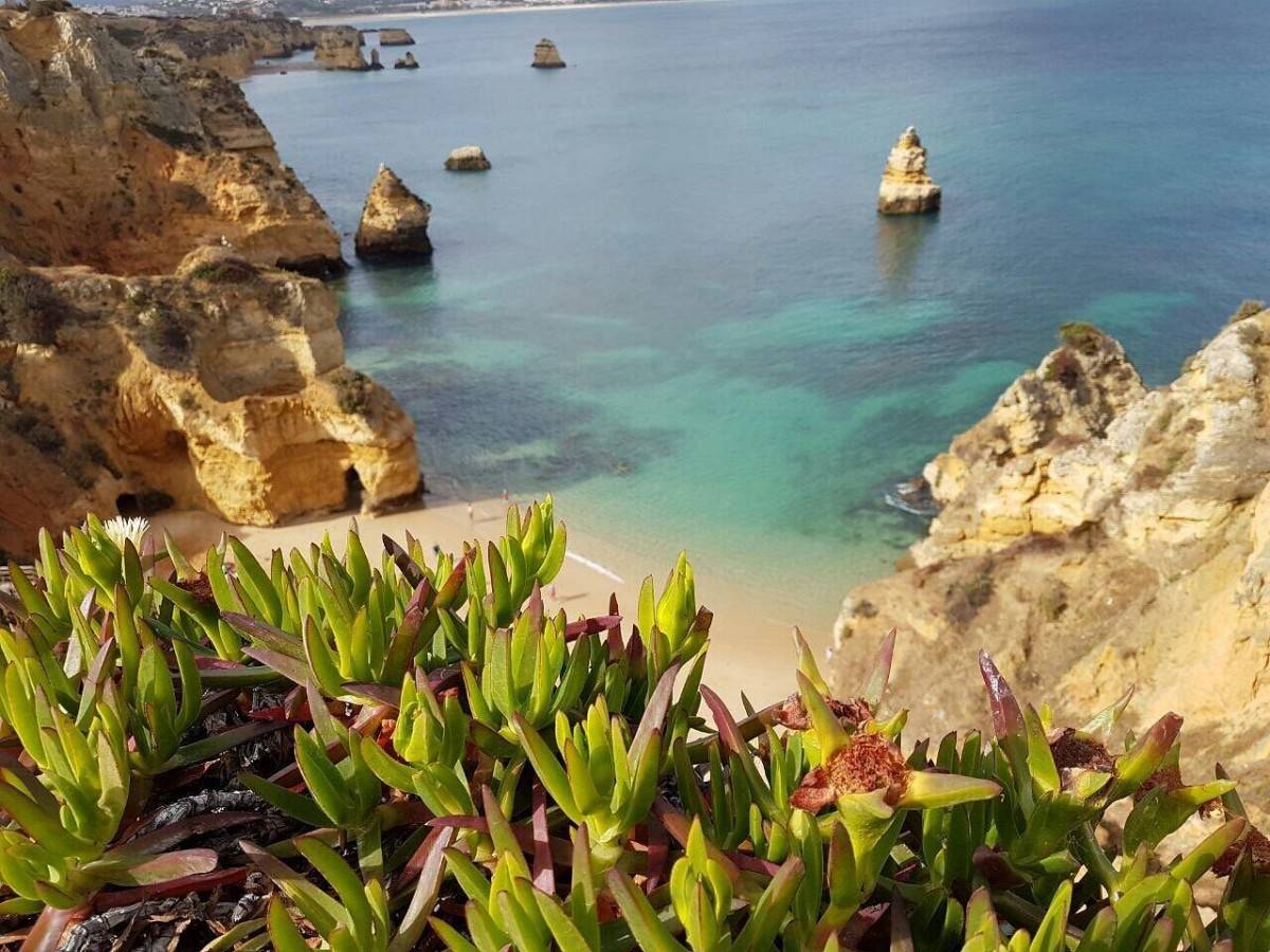 Why is it different from other beaches?