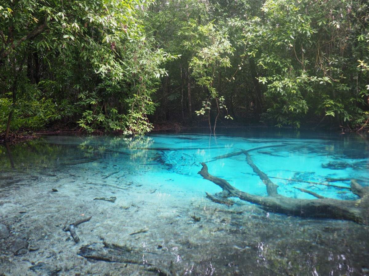5. An Immersive Exploration Experience