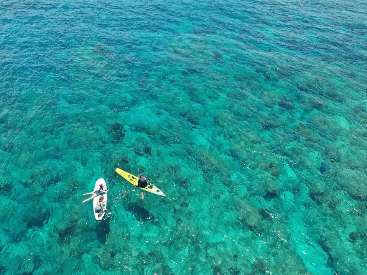 Fun sea activities: close contact with the sea