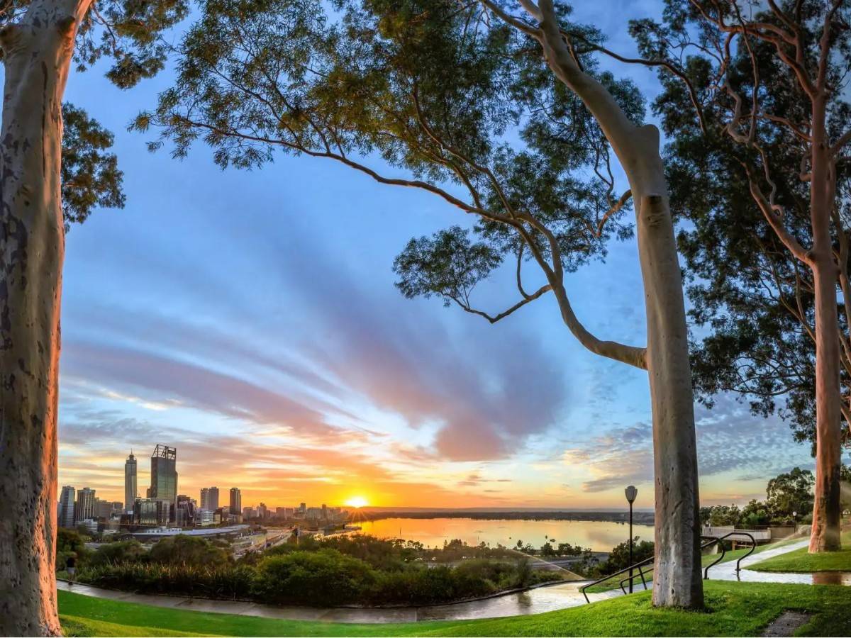 A “city lung” of wildness and design