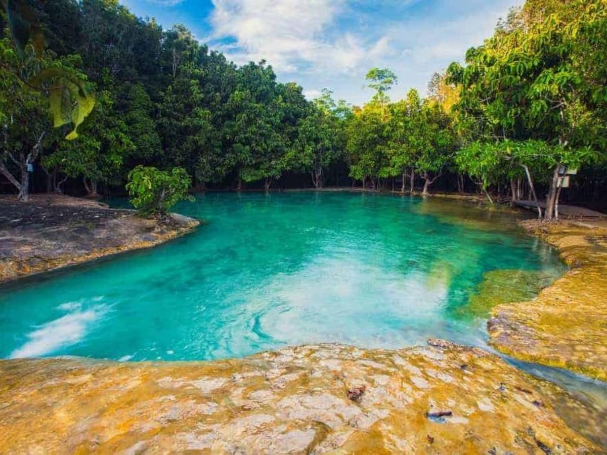 2. The Scientific Secret of Its Emerald Green