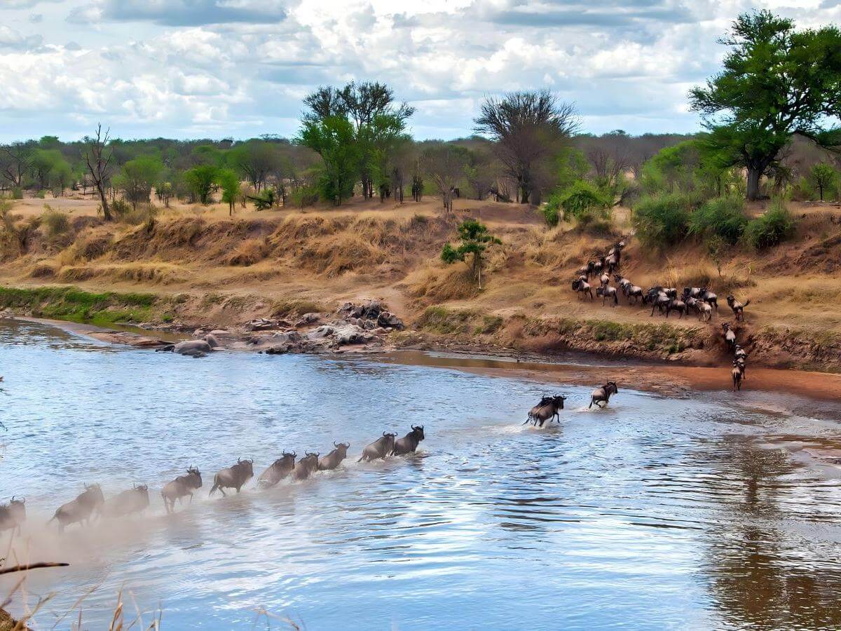 Prepare your travel gear to cope with the natural environment