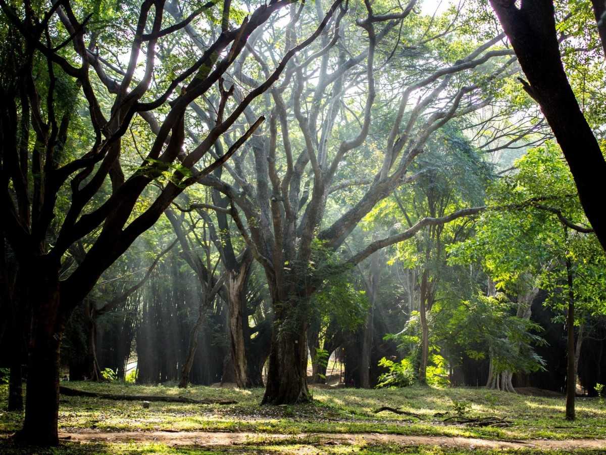 A park full of history and culture
