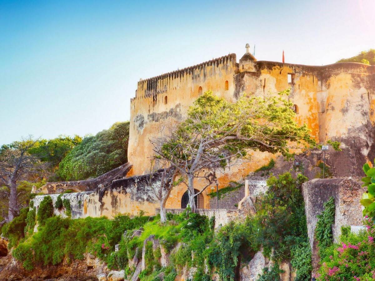 History and Background