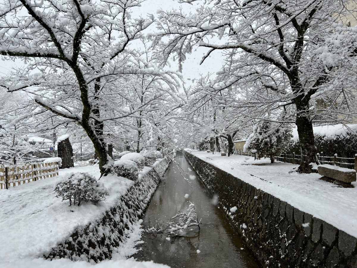 5. The quiet beauty of winter snow: the beauty of loneliness hidden from the world