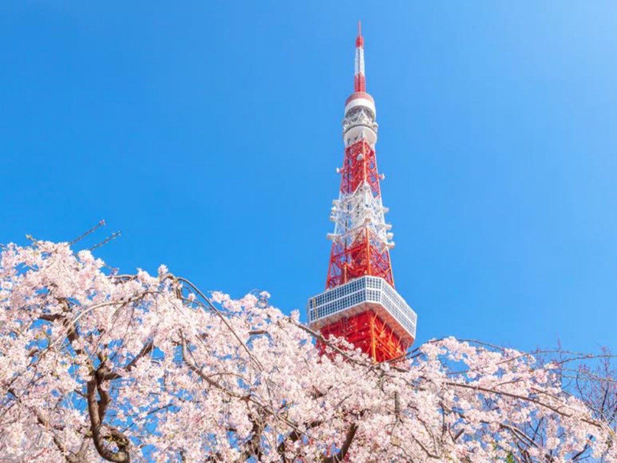 Guide to playing around Tokyo Tower