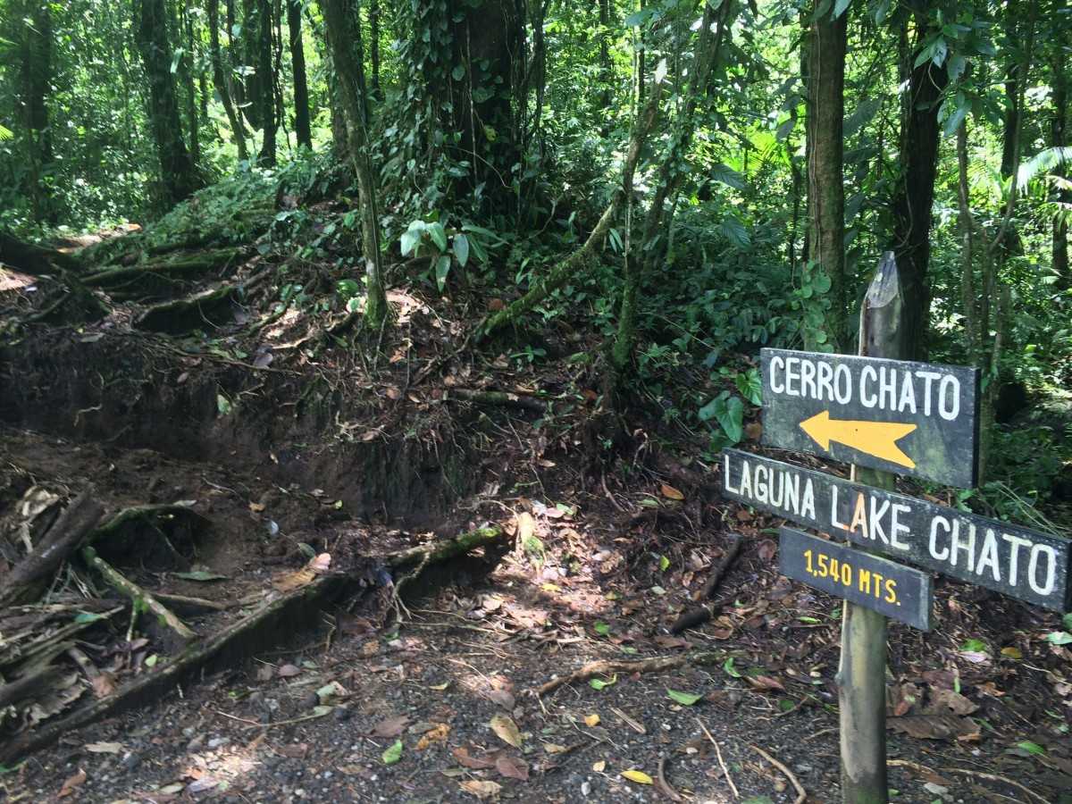Hiking Road: Your Private Dialogue with Nature