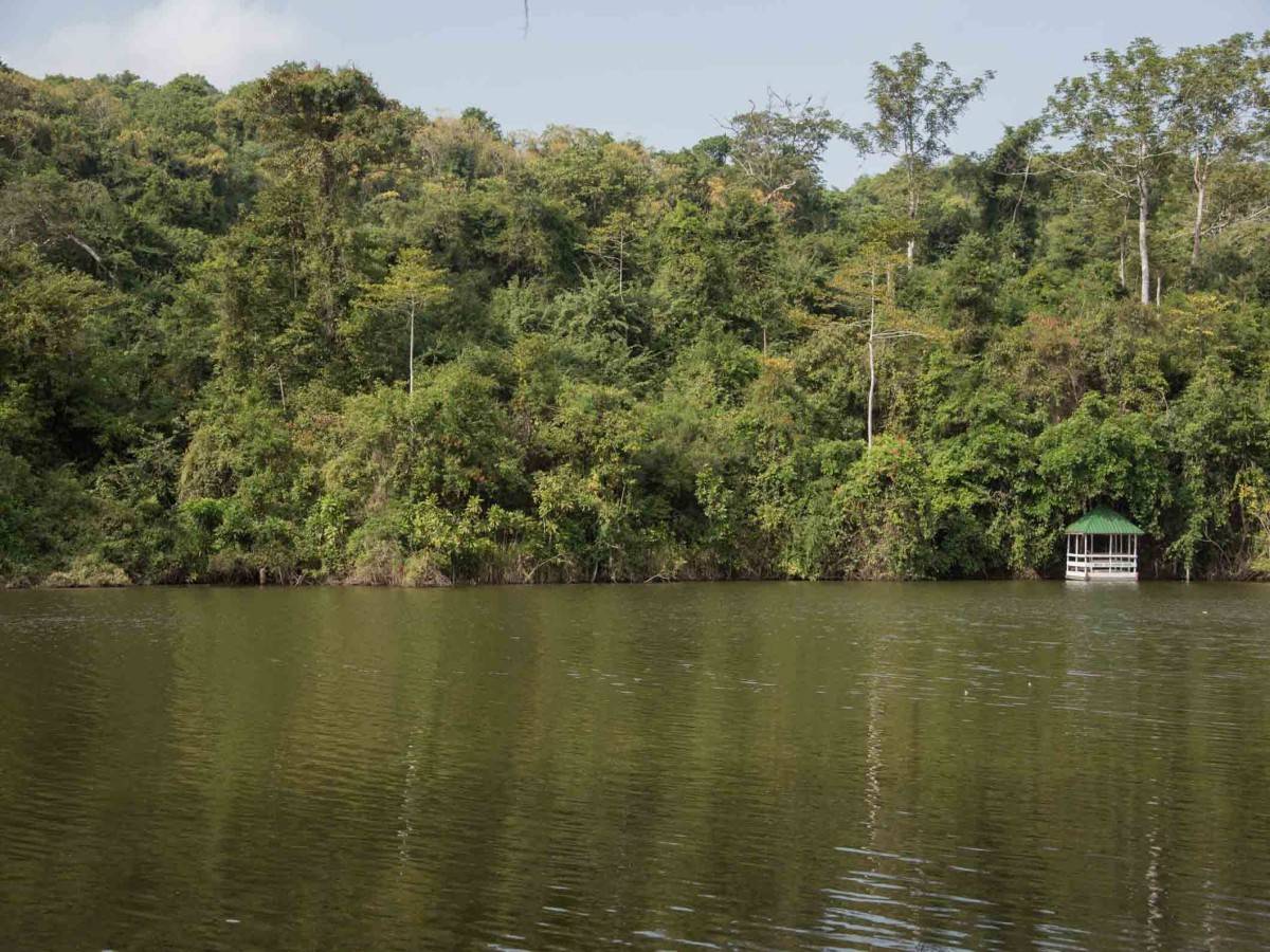Things to do in Pugu Hills