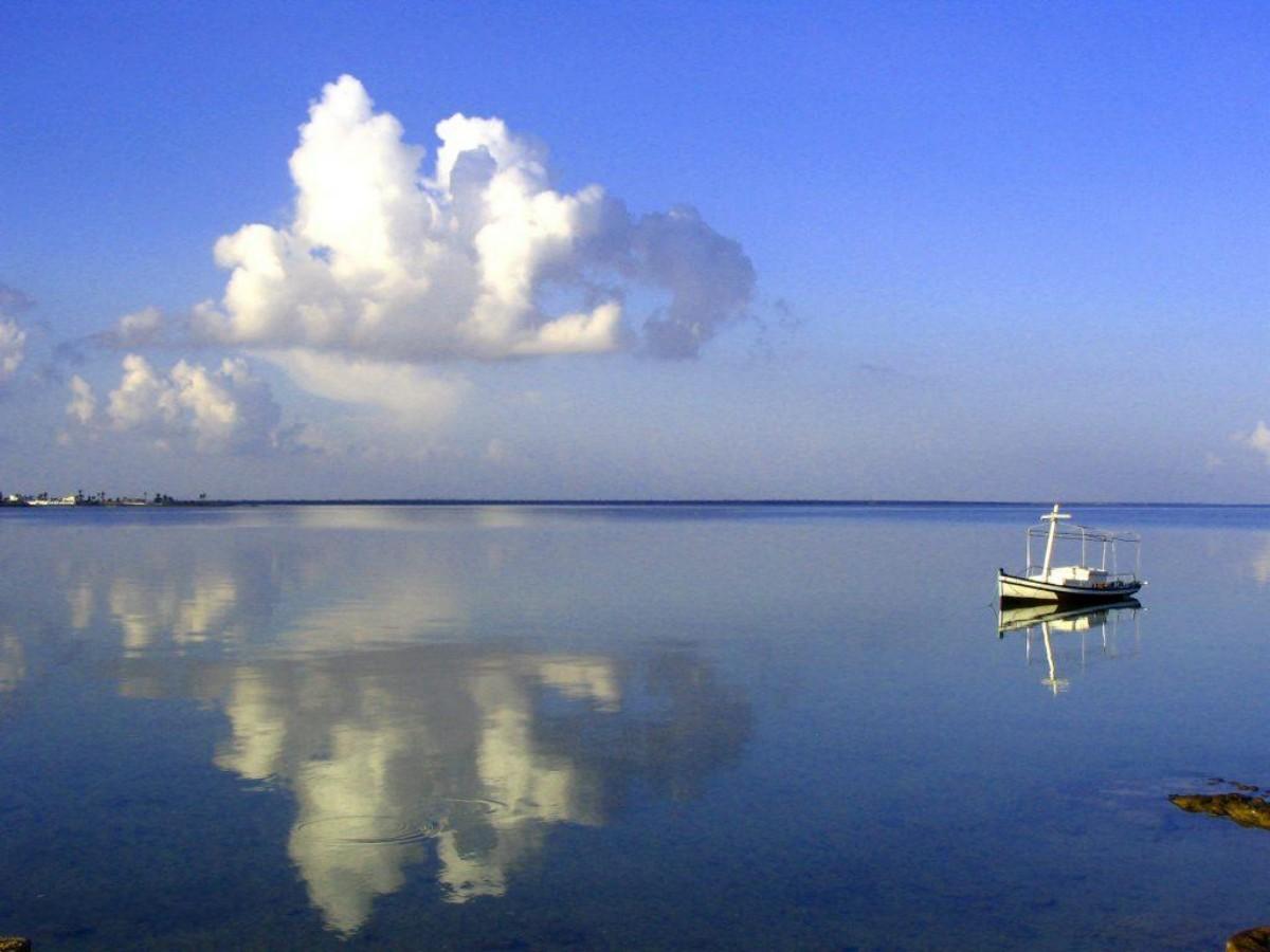B&B avoidance guide: the selection method from photo fraud to real paradise