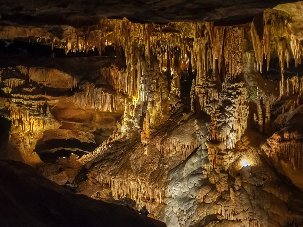 3. Parent-child interaction and family experience: fun ecological science tour