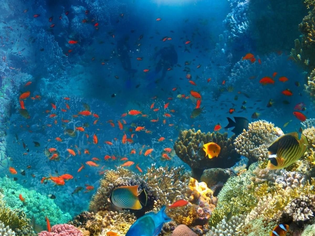 Friendly reminder: safety and environmental protection are equally important