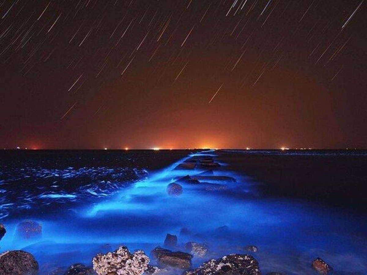 2. Best time to experience: the fantasy world after nightfall