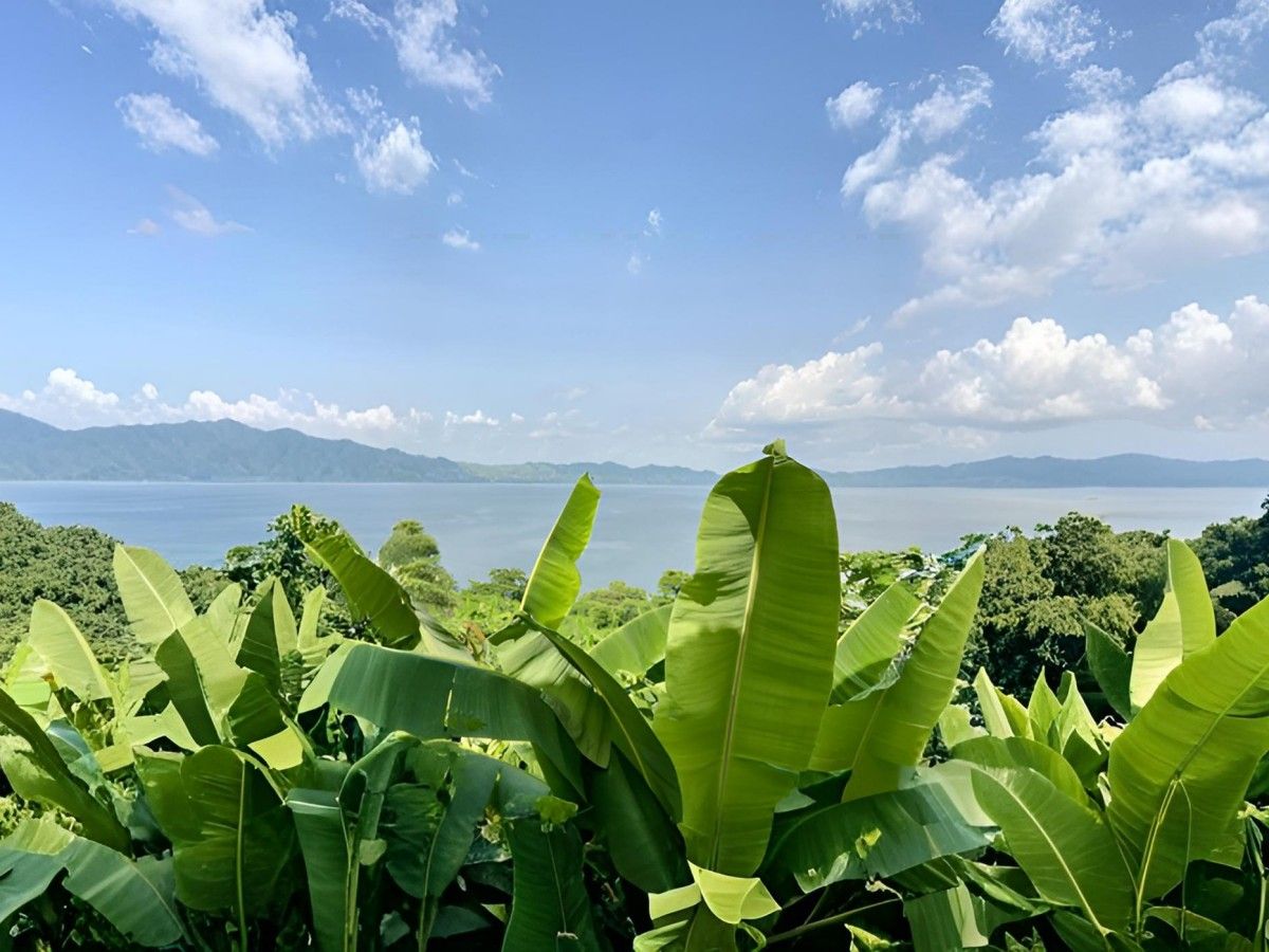 A paradise of pure ecology: a great place to explore nature