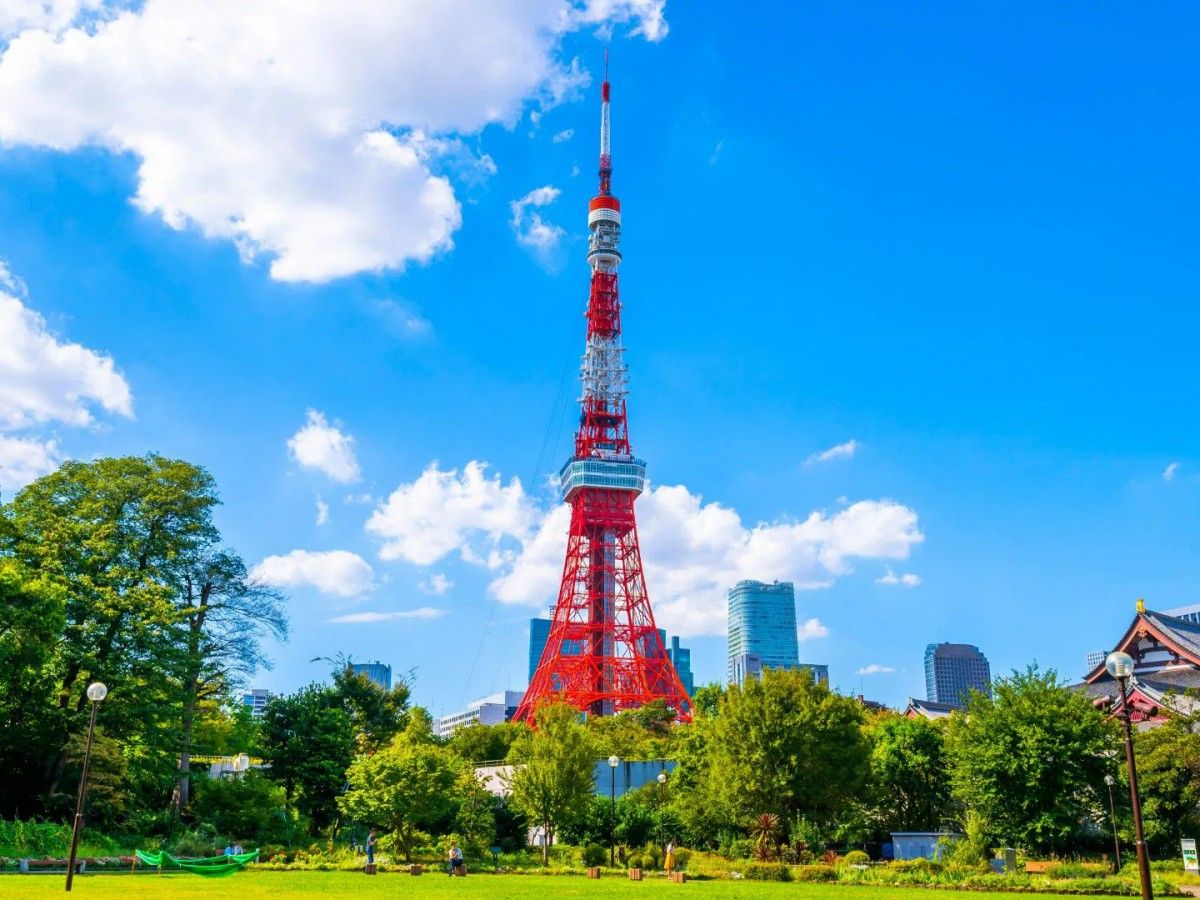 Check in Tokyo Tower and immerse in the romantic night view