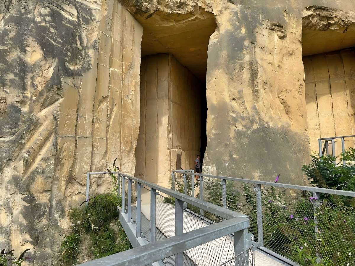 Professional guided tours