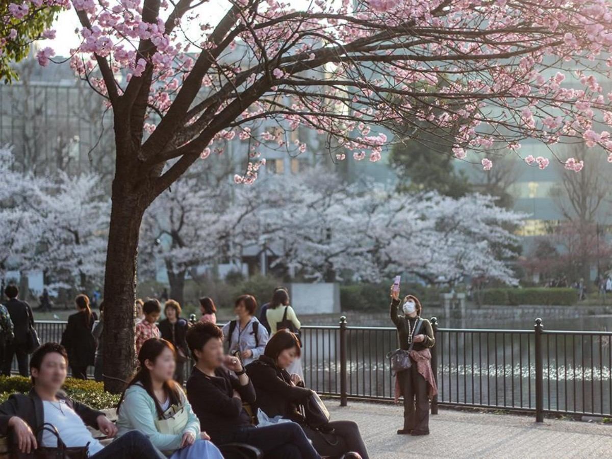 Time capsule: from the Meiji Restoration to the future city