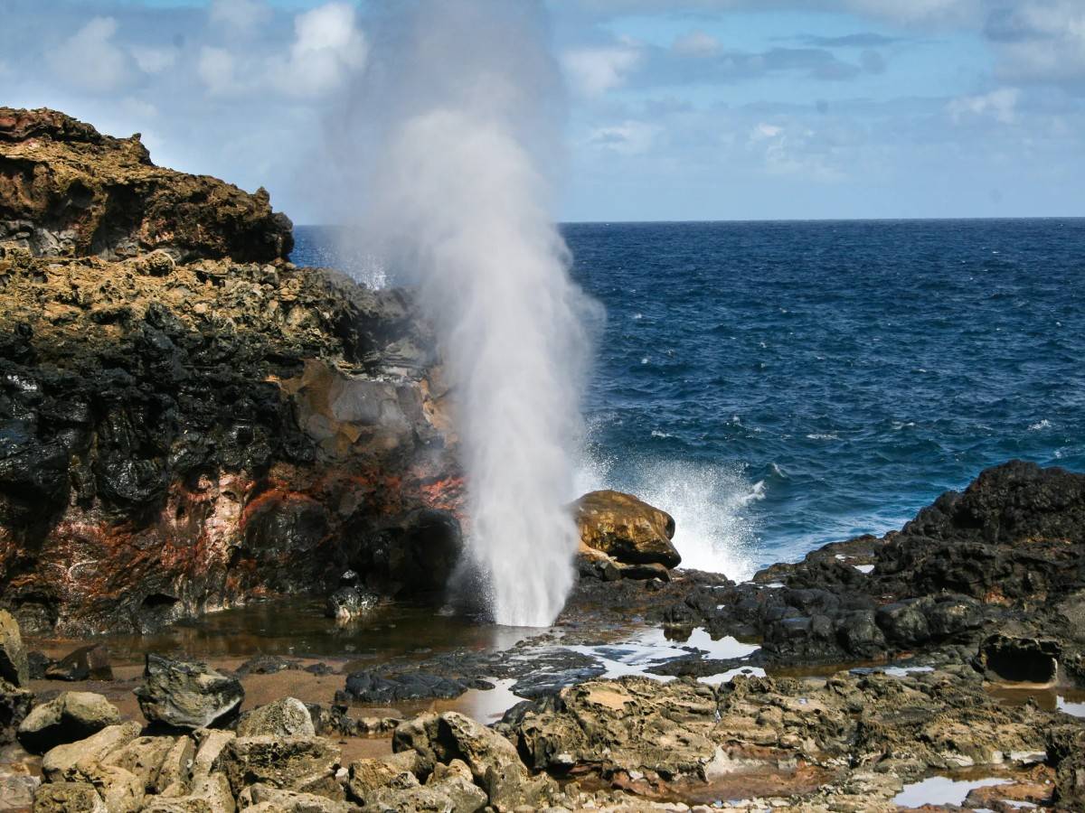 Shooting skills are revealed: Capture the "roaring" moment