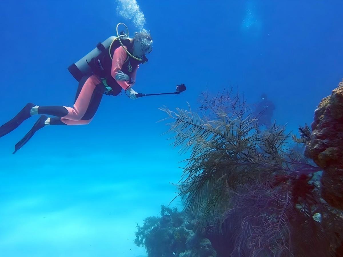 The unique attractions of diving at Long Island