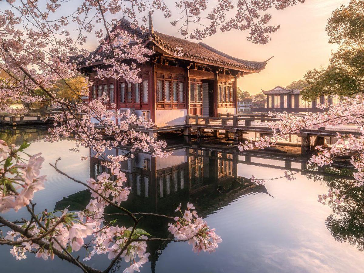 Spring: A feast of flowers