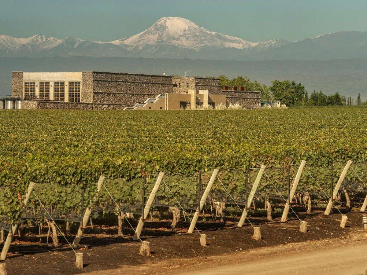 Top winery experience